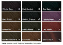 Load image into Gallery viewer, Bigen Dark Brown 57 Perm Powder
